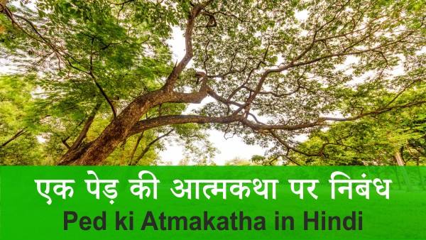 Ped ki Atmakatha in Hindi