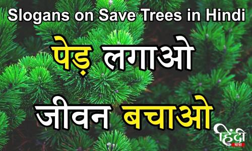 Slogans on Save Trees in Hindi