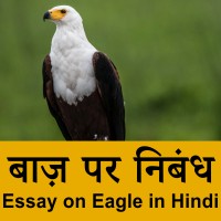 Eagle information in Hindi