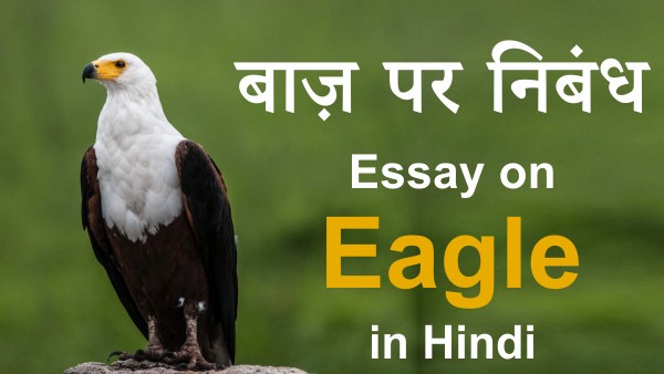 Essay on Eagle in Hindi