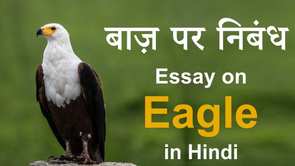 eagle essay on hindi