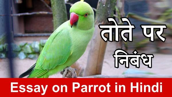 Essay on Parrot in Hindi
