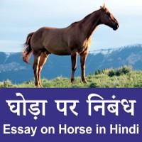 Horse Hindi nibandh