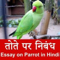 Parrot par nibandh