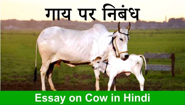 Essay on Cow in Hindi