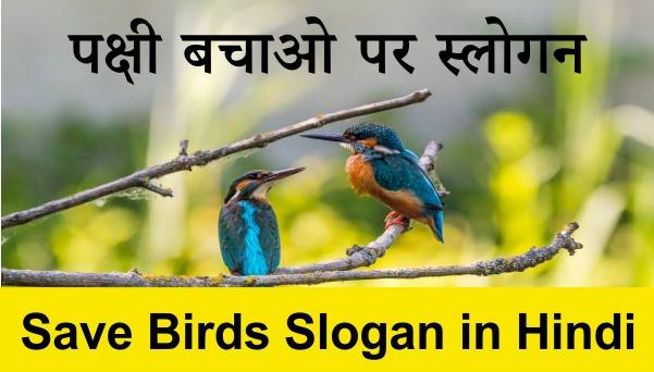 Save Birds Slogan in Hindi