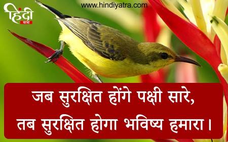 पक्षी बचाओ पर स्लोगन - Save Birds Slogan in Hindi