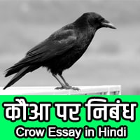 crow information in hindi