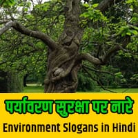 paryavaran slogan in hindi