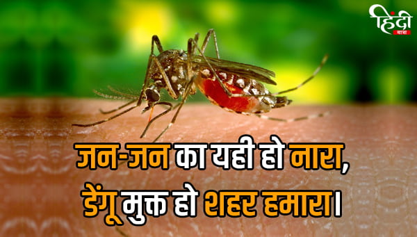 30-dengue-slogan-in-hindi