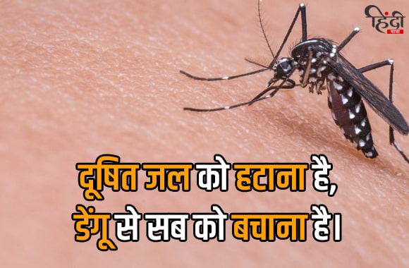 dusti jal ko hatana h, dengue se sab ko bachana h