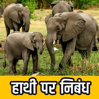 about elephant in hindi 5 points