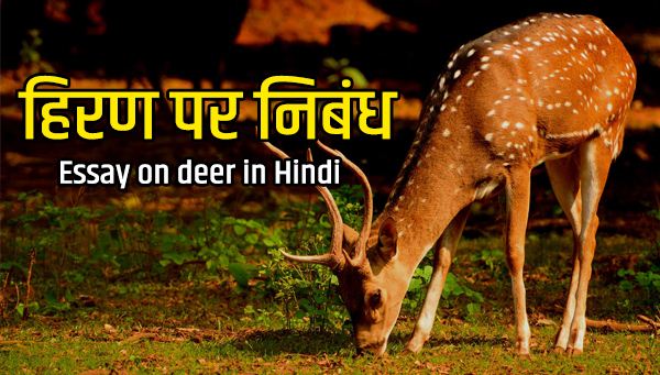 hindi essay on deer animal