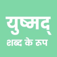 युष्मद् शब्द रूप