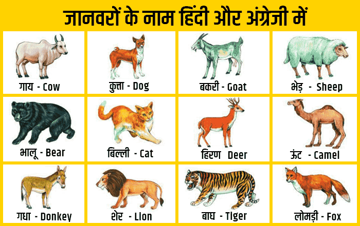 100+ जानवरों के नाम हिंदी और इंग्लिश में | Animals Name in Hindi English