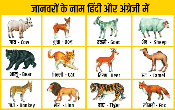 100 Animals Name In Hindi English