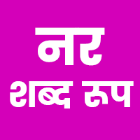 नर शब्द के रूप