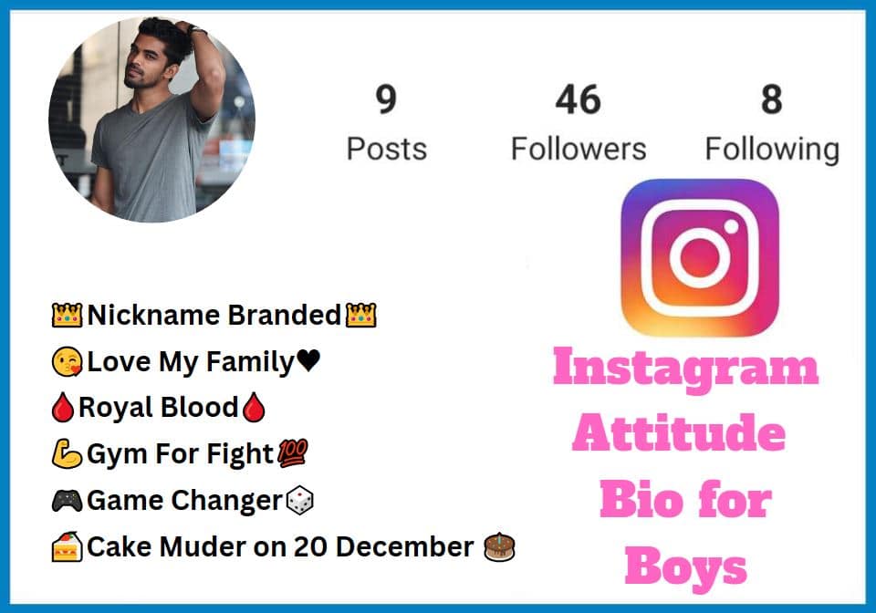 instagram bio for boys attitude