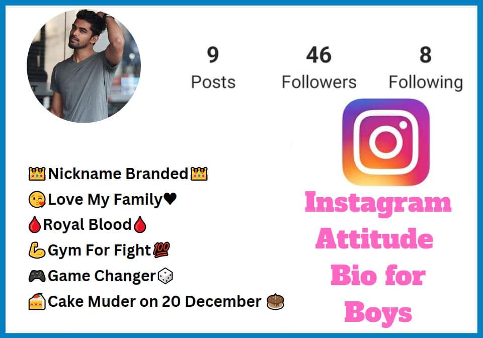 Instagram Bio For Boys Attitude 